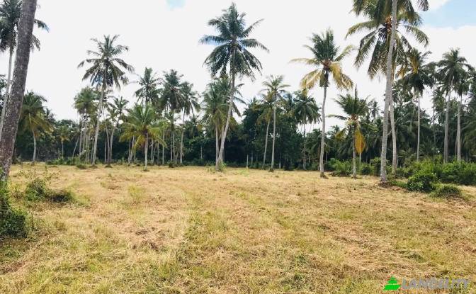 Terreno/Lote à venda - Kimbulapitiya, Sri Lanka