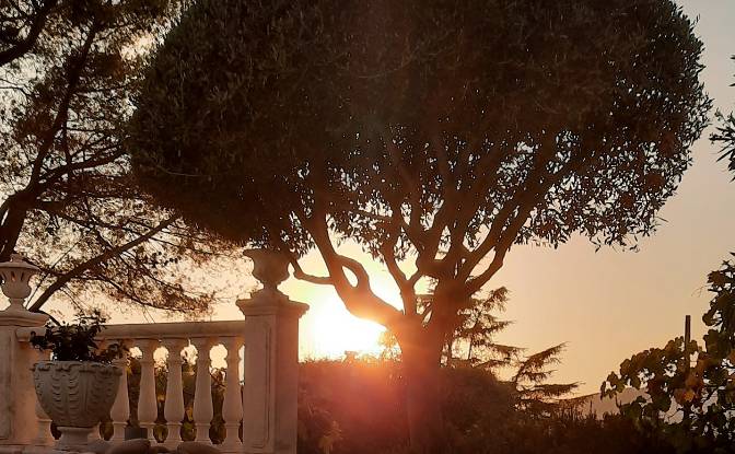 Villa for Sale 11 M Chem des Pins. Photo#24 Villa for Sale 11 M Chem des Pins. Photo#24