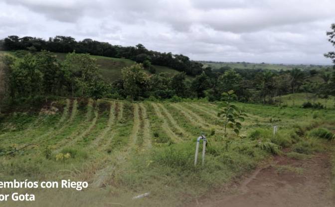 Land/Lot for Sale Arenosa, La Chorrera District. Photo#8