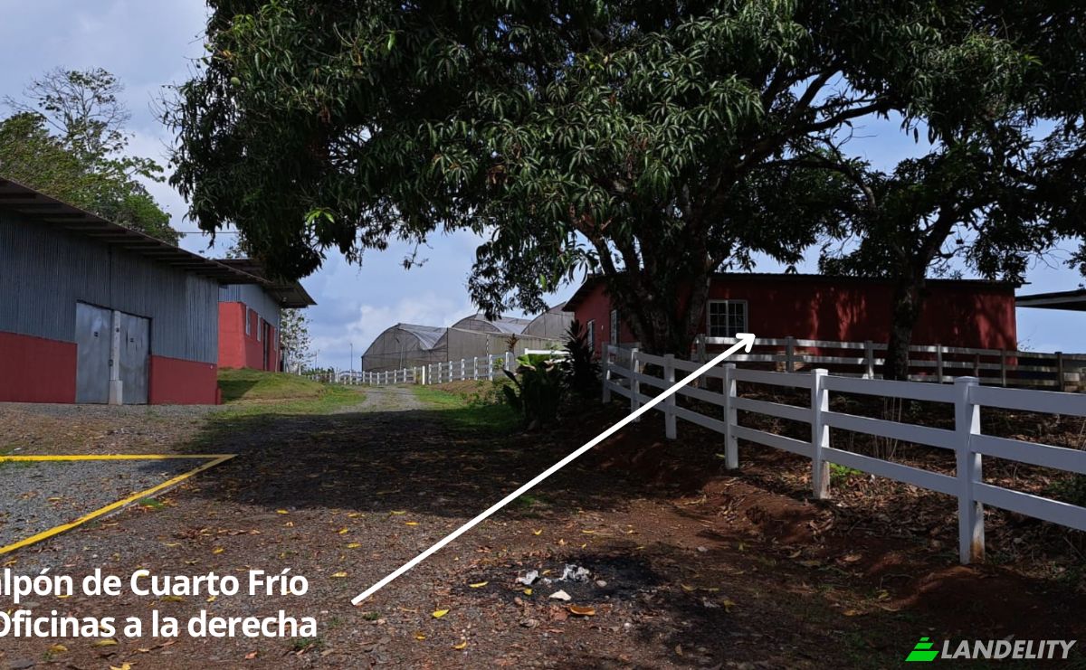 Land/Lot for Sale Arenosa, La Chorrera District, Panama Oeste Province, Panama. Photo 12