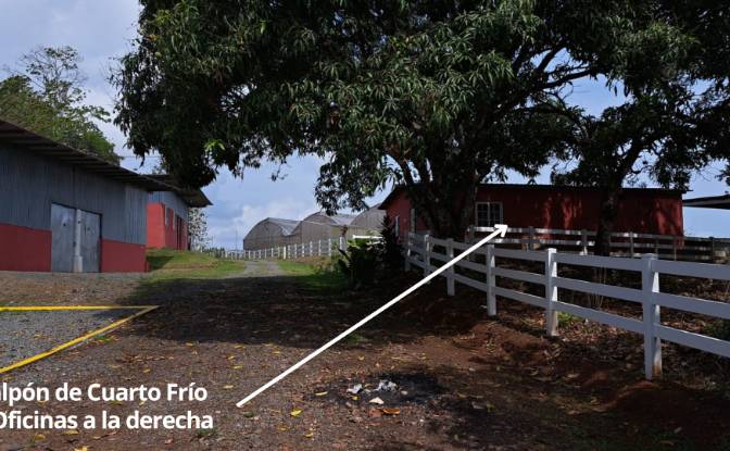 Land/Lot for Sale Arenosa, La Chorrera District. Photo#12
