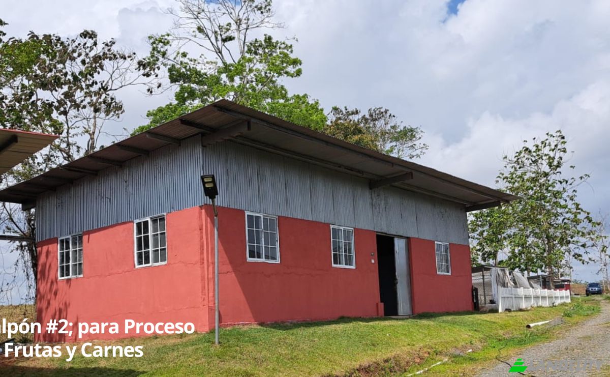 Land/Lot for Sale Arenosa, La Chorrera District, Panama Oeste Province, Panama. Photo 13