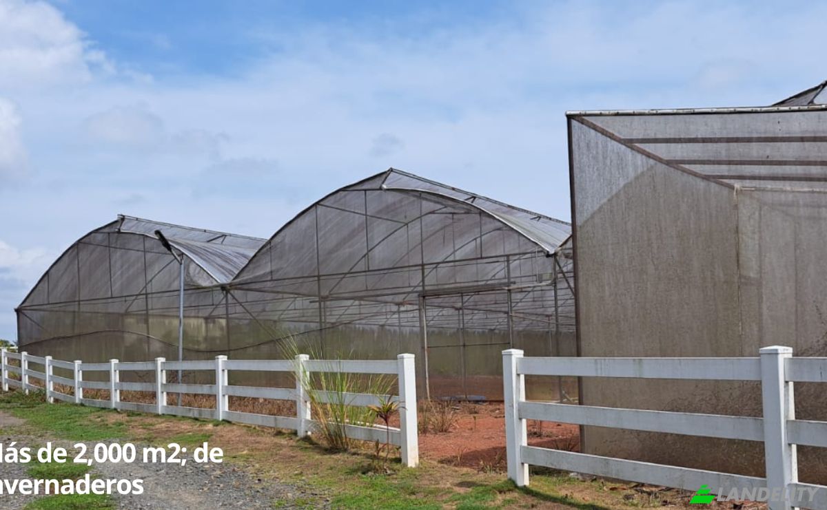 Land/Lot for Sale Arenosa, La Chorrera District, Panama Oeste Province, Panama. Photo 15