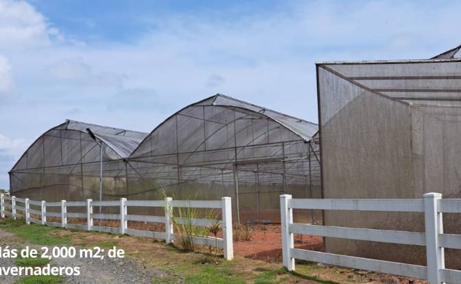 Land/Lot for Sale Arenosa, La Chorrera District. Photo#15