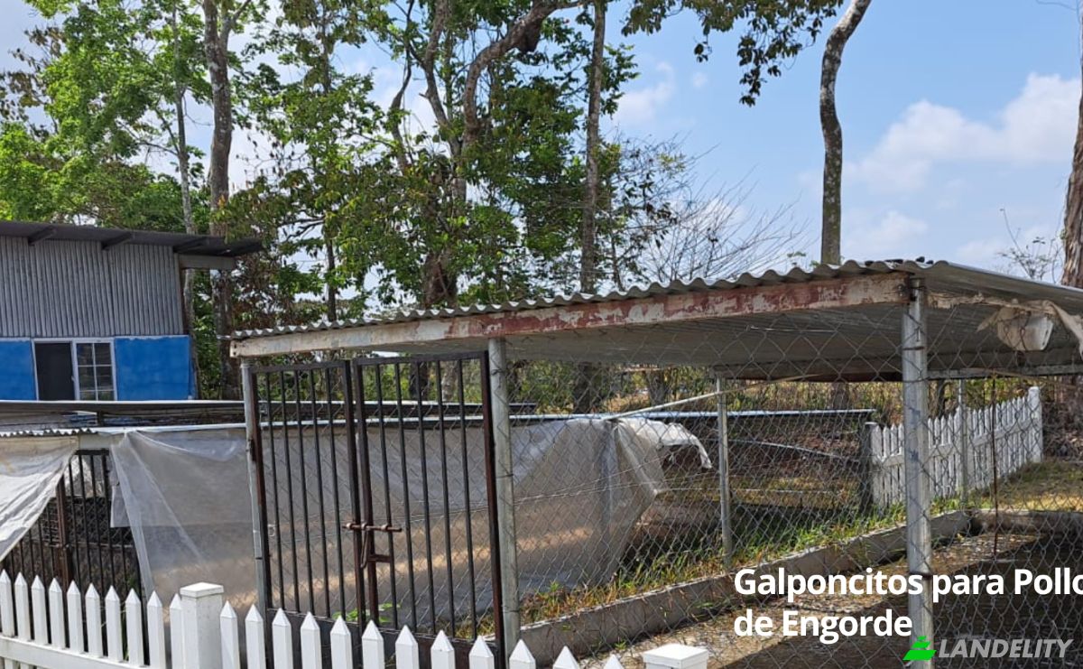 Land/Lot for Sale Arenosa, La Chorrera District, Panama Oeste Province, Panama. Photo 16