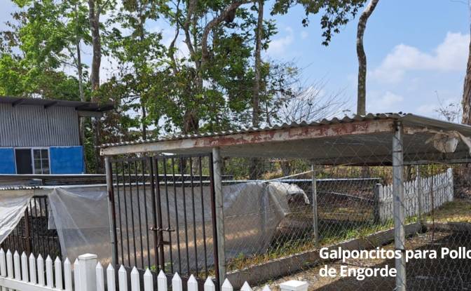 Land/Lot for Sale Arenosa, La Chorrera District. Photo#16