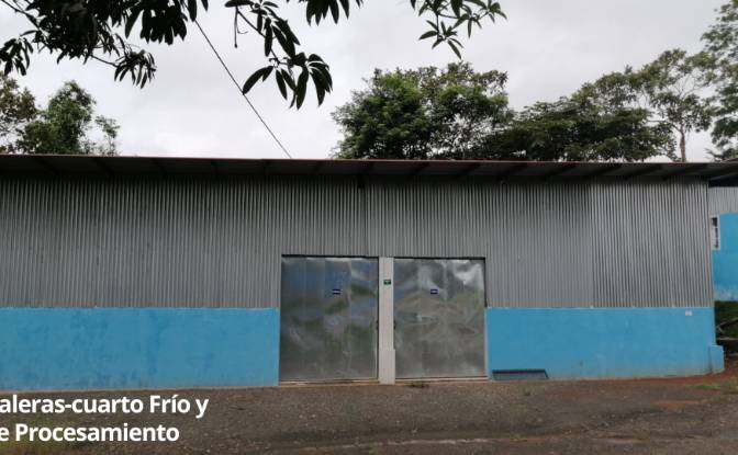 Land/Lot for Sale Arenosa, La Chorrera District. Photo#4