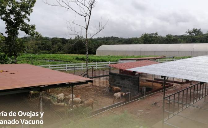 Land/Lot for Sale Arenosa, La Chorrera District. Photo#7