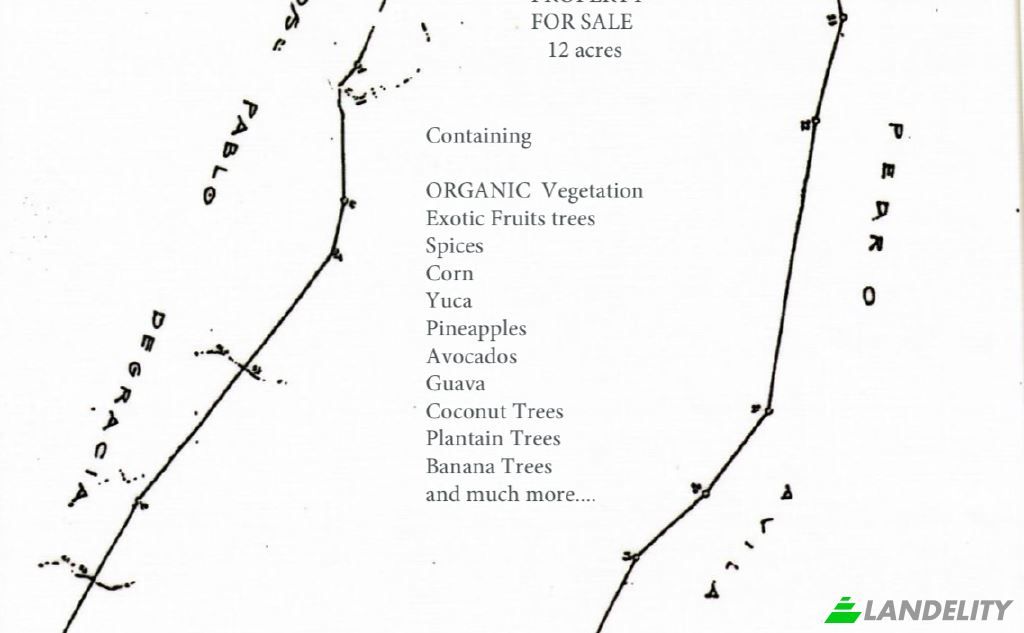 Land/Lot for Sale Playa La Angosta, Maria Chiquita, Portobelo District, Colon Province, Panama. Photo 1