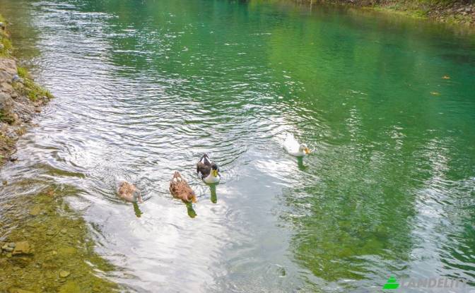 Apartamento à venda Otekoy, Alanya, Antalya. foto#22 Apartamento à venda Otekoy, Alanya, Antalya. foto#22