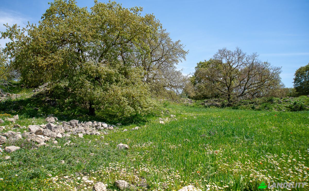 Односімейний будинок продаж Pirouniana, Crete, Decentralized Administration of Crete, Greece. Фото 23