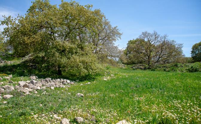 Односімейний будинок продаж Pirouniana, Crete. Фото#23