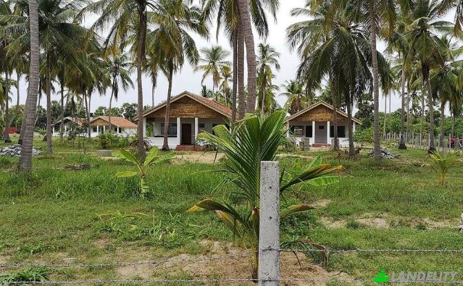 Terreno/Lotto in vendita - Kayankerni, Sri Lanka