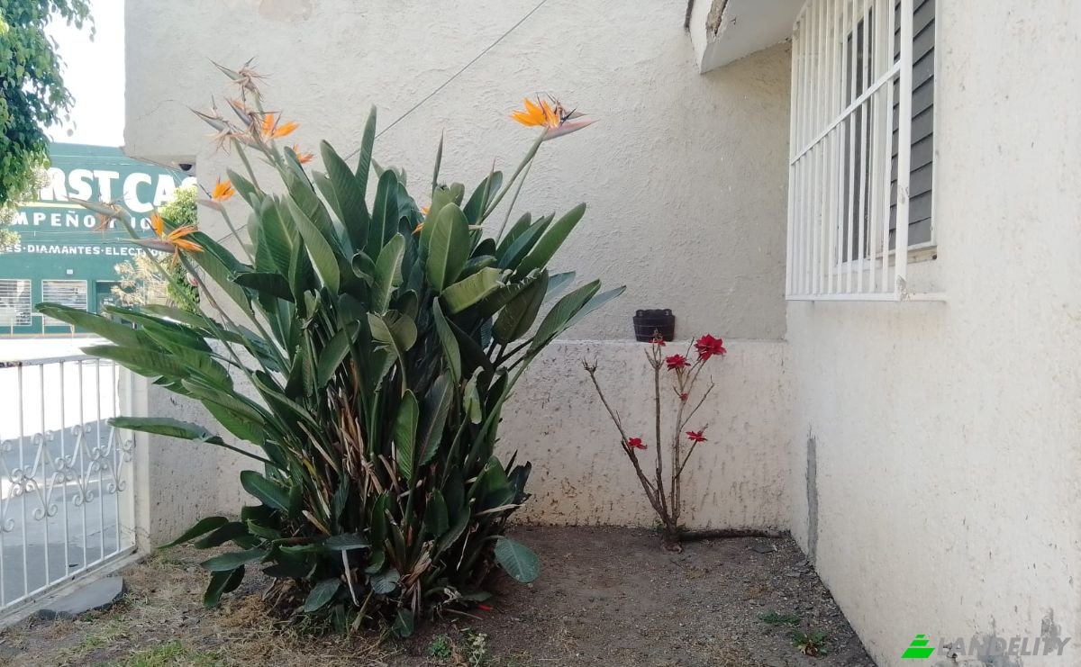 Single Family Home for Sale C P de Los Almendros, Tabachines, 45188 Zapopan, Jal, Zapopan, Jalisco, Mexico. Photo 2