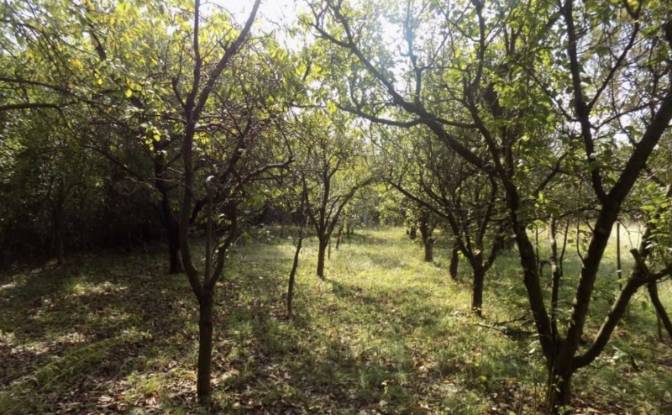 Односімейний будинок продаж Carice Jelene, Beograd. Фото#8 Односімейний будинок продаж Carice Jelene, Beograd. Фото#8