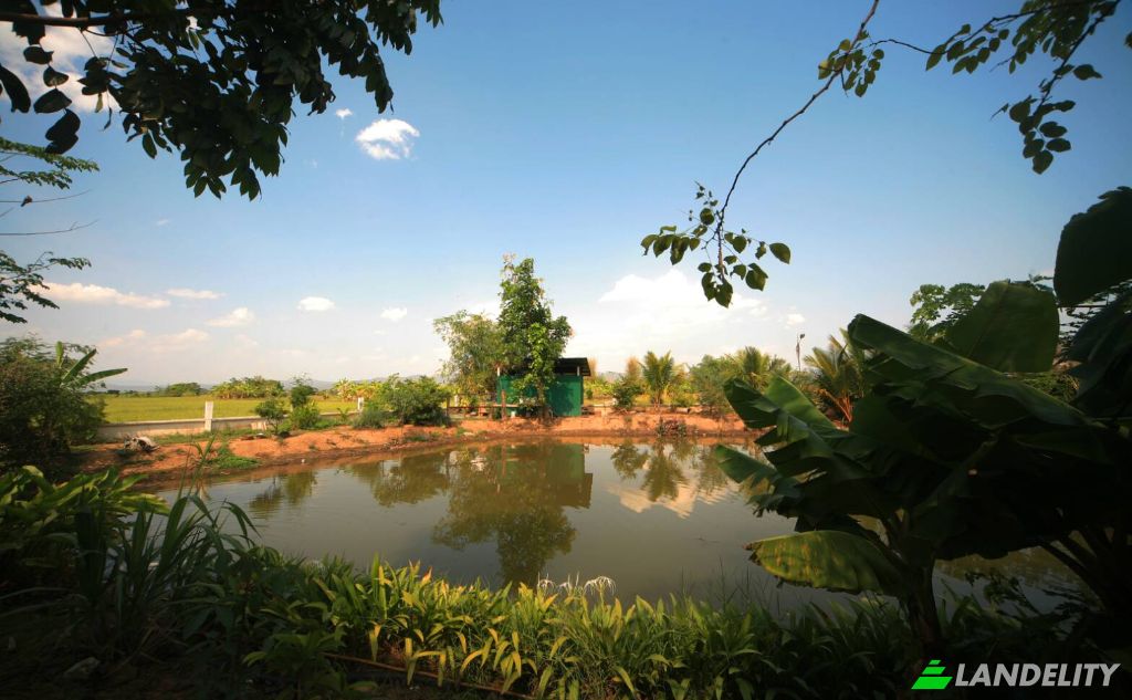 Single Family Home for Sale San Pong, Mae Rim District, Chiang Mai, Thailand, Chiang Mai 50180. Photo 19