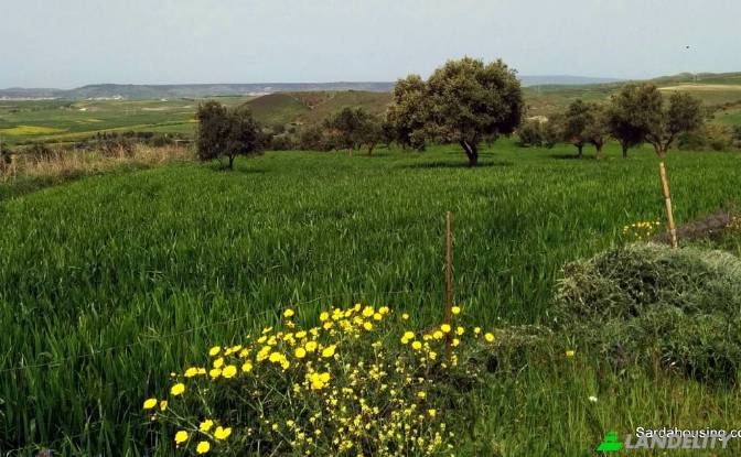 Land/Lot for Sale - Villanovafranca, Italy