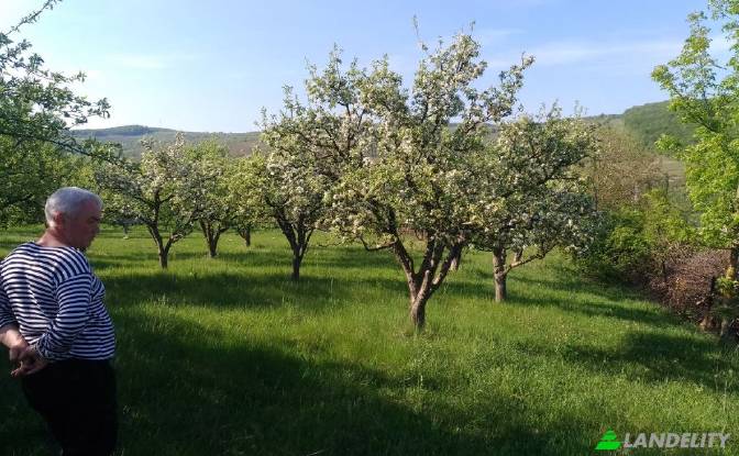 Grundstück zu verkaufen - Hirjauca, Moldova