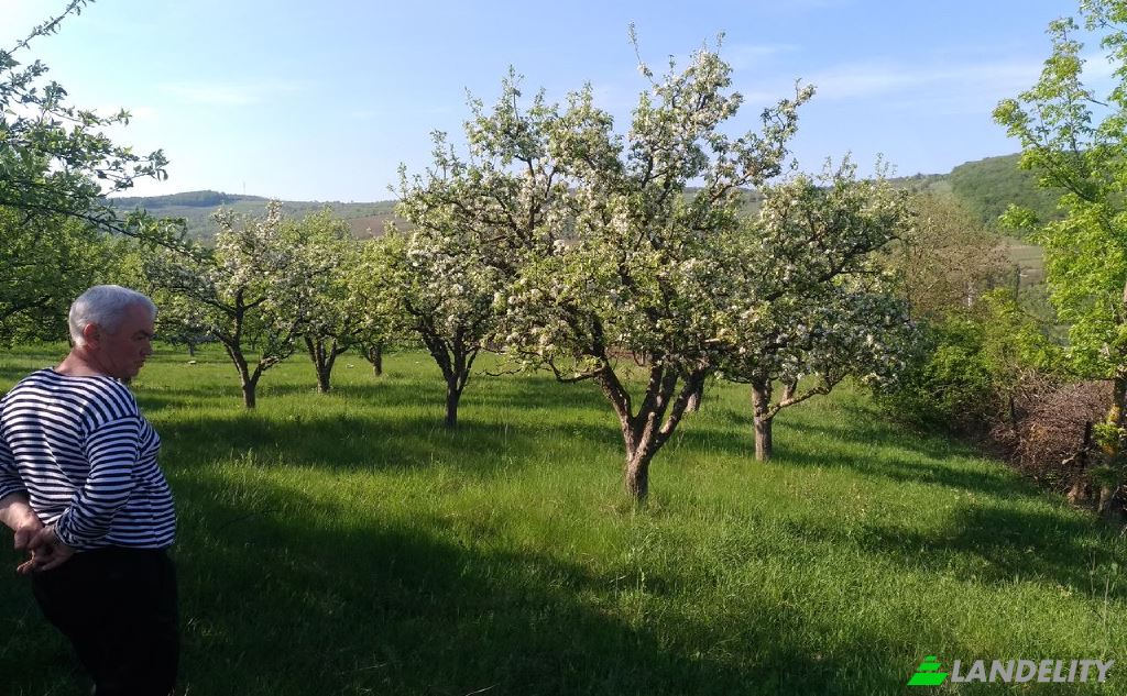 Земля/Ділянка продаж Drum fara nume, Hirjauca, Calarasi District, Moldova. Фото 3