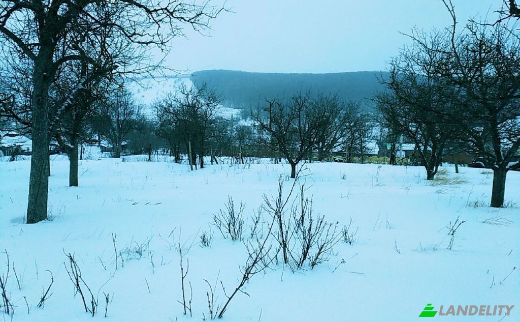 Земля/Ділянка продаж Drum fara nume, Hirjauca, Calarasi District, Moldova. Фото 4