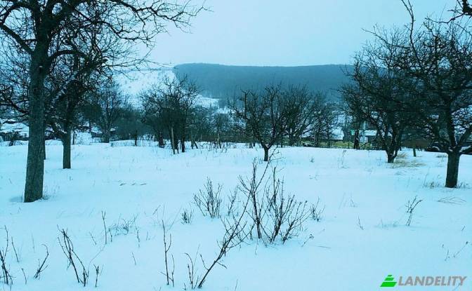 Земля/Ділянка продаж Drum fara nume, Hirjauca. Фото#4