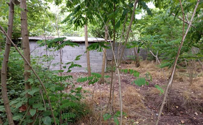 Lote de terreno à venda - Mashak-e Sepahdari, Iran
