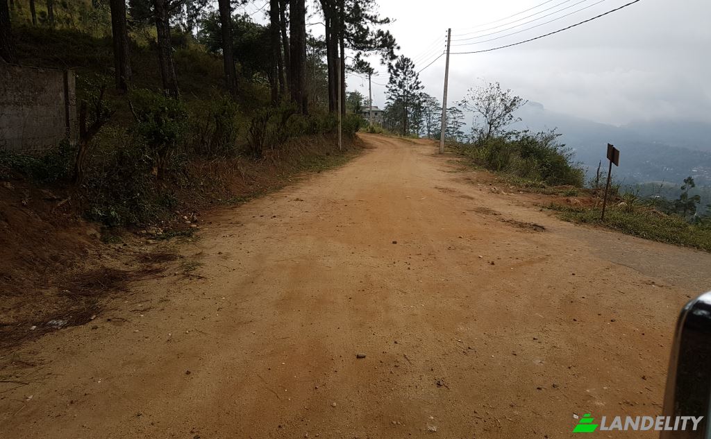 Land/Lot for Sale Galaha, Kandy, Central Province, Sri Lanka. Photo 3