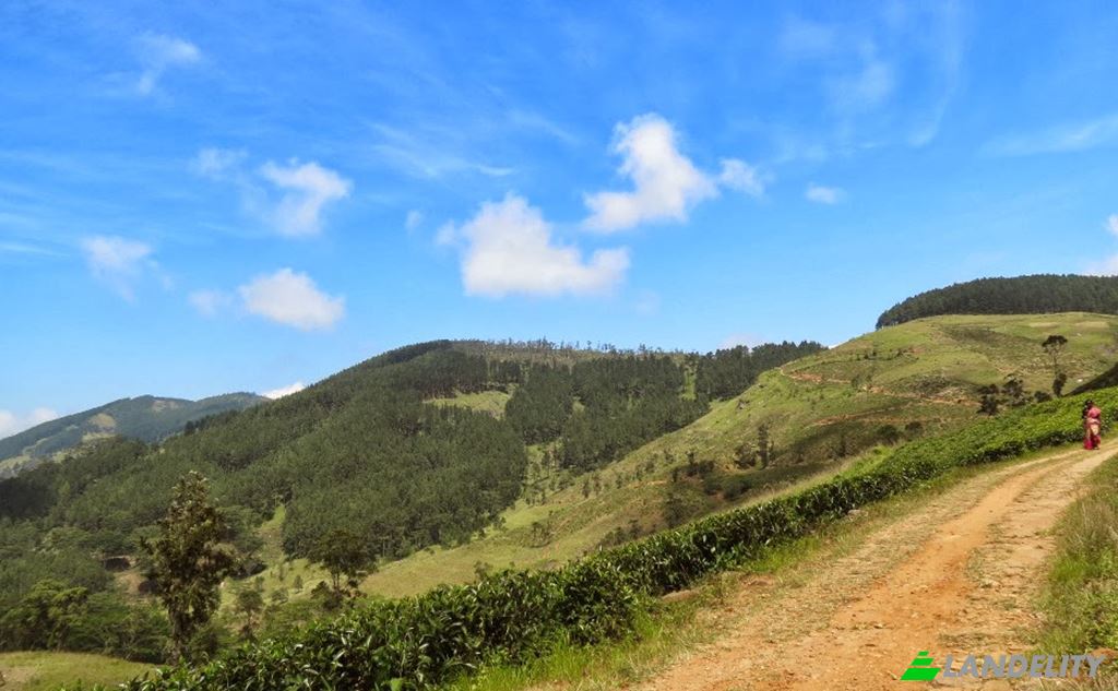 Land/Lot for Sale Galaha, Kandy, Central Province, Sri Lanka. Photo 2