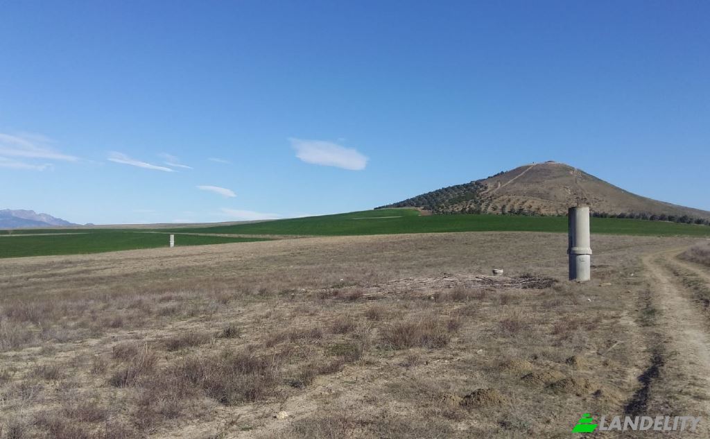 Land/Lot for Sale Dikilitas, Isimsiz Yol, 01500 Kozan Adana, Kozan Adana, Kozan, Adana, Turkiye. Photo 8