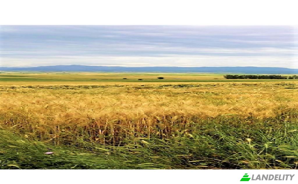 Land/Lot for Sale Dikilitas, Isimsiz Yol, 01500 Kozan Adana, Kozan Adana, Kozan, Adana, Turkiye. Photo 3