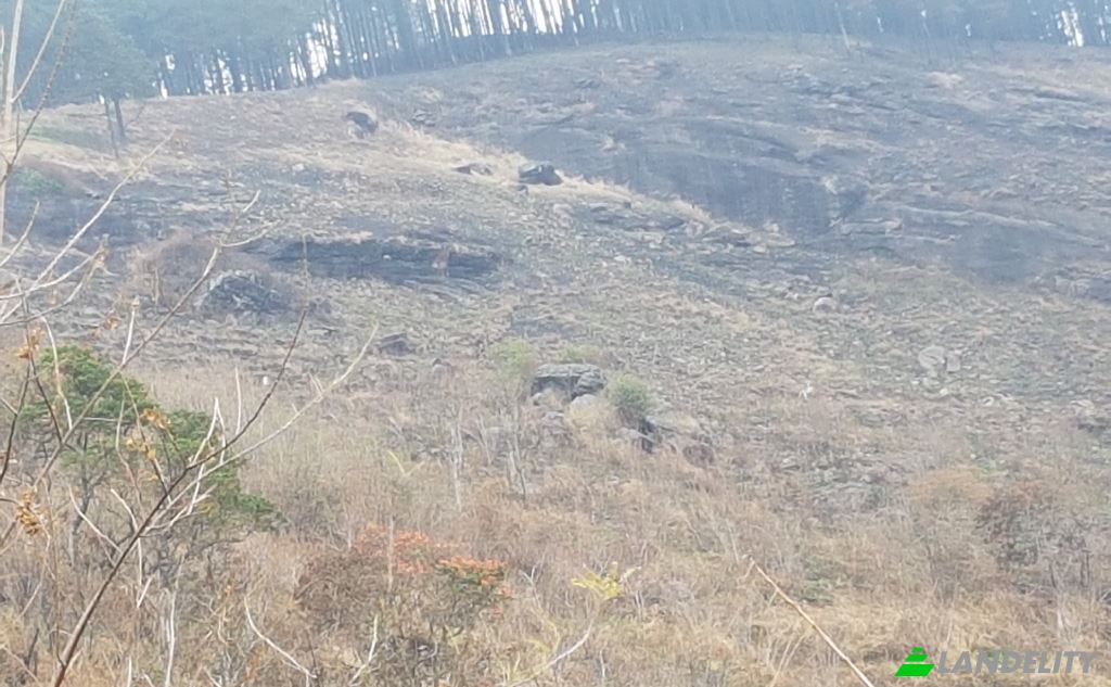 Земля/Ділянка продаж Belwood Rd, Galaha, Kandy, Central Province, Sri Lanka. Фото 2