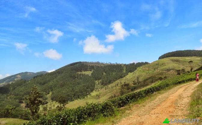 Земля/Ділянка продаж Belwood Rd, Galaha, Kandy. Фото#4