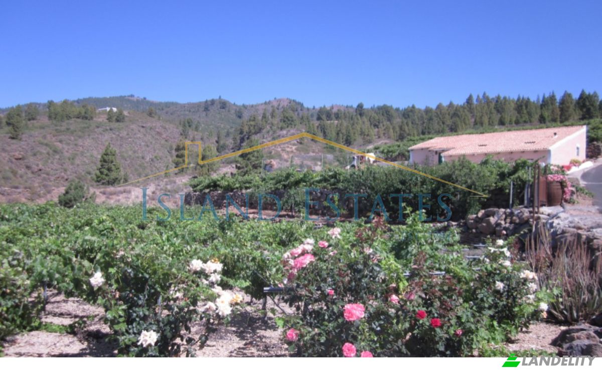 Односімейний будинок продаж Calle Principal el Draguito, Granadilla de Abona, Santa Cruz de Tenerife, Canary Islands, Spain. Фото 7