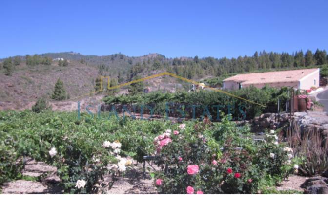 Односімейний будинок продаж Calle Principal el. Фото#7