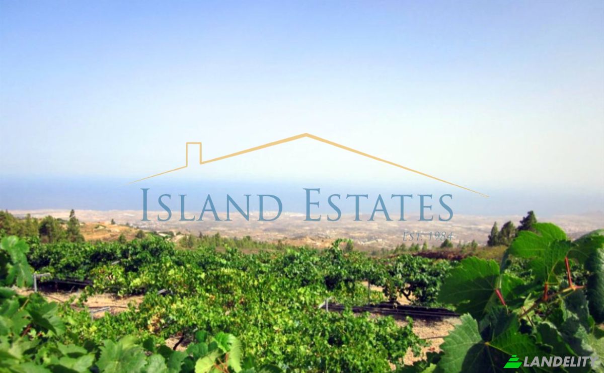 Односімейний будинок продаж Calle Principal el Draguito, Granadilla de Abona, Santa Cruz de Tenerife, Canary Islands, Spain. Фото 15