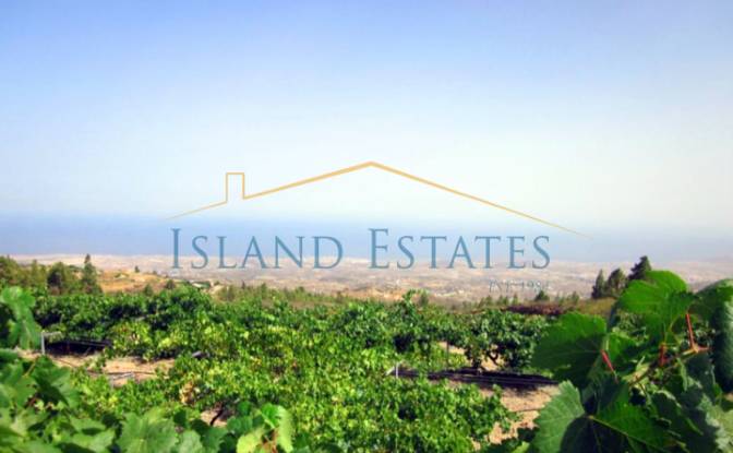 Односімейний будинок продаж Calle Principal el. Фото#15