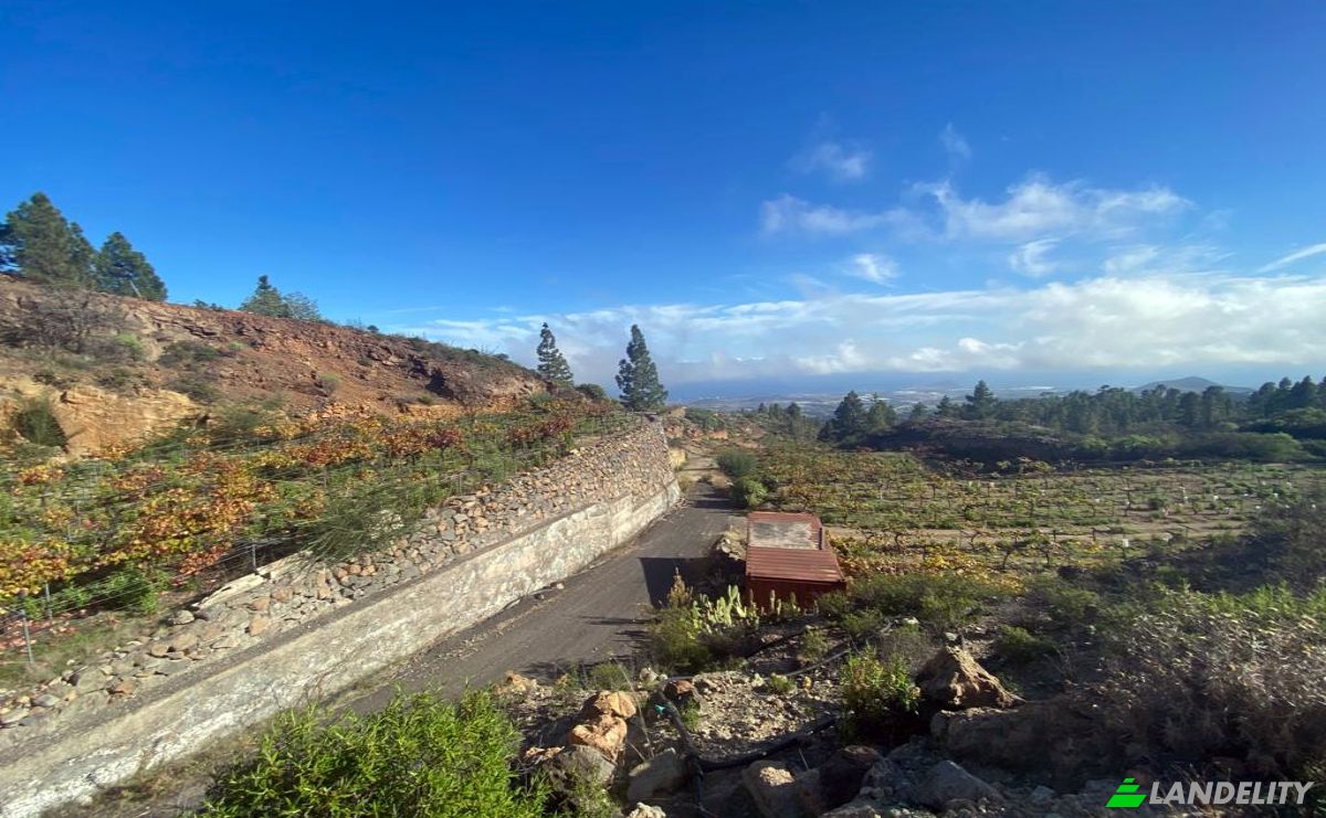 Односімейний будинок продаж Calle Principal el Draguito, Granadilla de Abona, Santa Cruz de Tenerife, Canary Islands, Spain. Фото 6