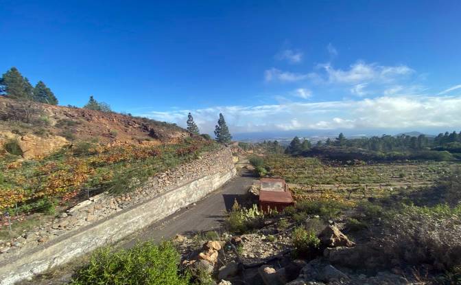 Односімейний будинок продаж Calle Principal el. Фото#6