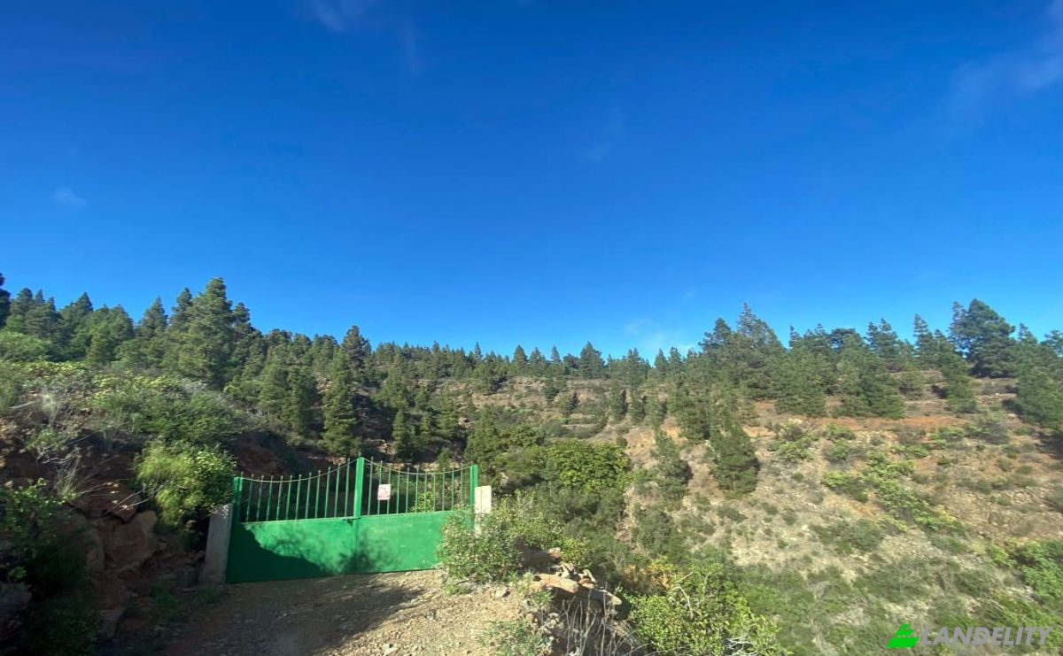 Односімейний будинок продаж Calle Principal el Draguito, Granadilla de Abona, Santa Cruz de Tenerife, Canary Islands, Spain. Фото 24