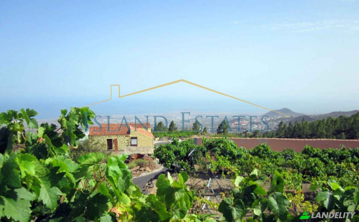 Односімейний будинок продаж Calle Principal el Draguito, Granadilla de Abona, Santa Cruz de Tenerife, Canary Islands, Spain. Фото 9