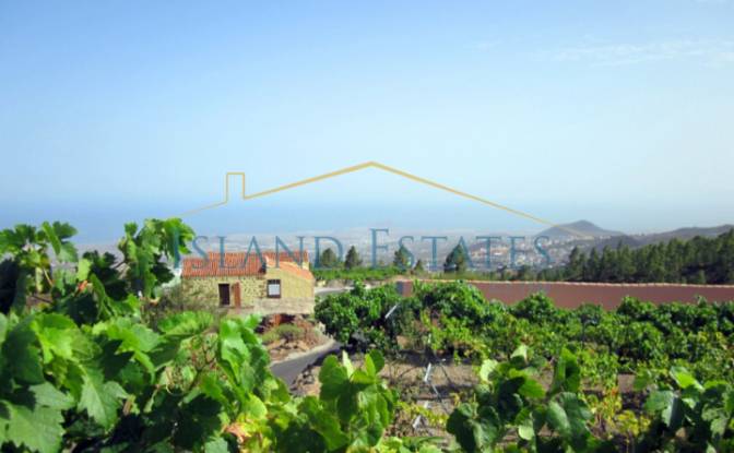 Односімейний будинок продаж Calle Principal el. Фото#9