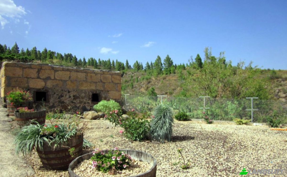 Односімейний будинок продаж Calle Principal el Draguito, Granadilla de Abona, Santa Cruz de Tenerife, Canary Islands, Spain. Фото 10