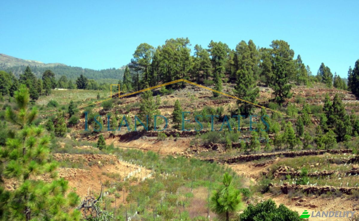 Односімейний будинок продаж Calle Principal el Draguito, Granadilla de Abona, Santa Cruz de Tenerife, Canary Islands, Spain. Фото 11