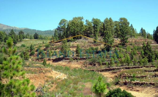 Односімейний будинок продаж Calle Principal el. Фото#11