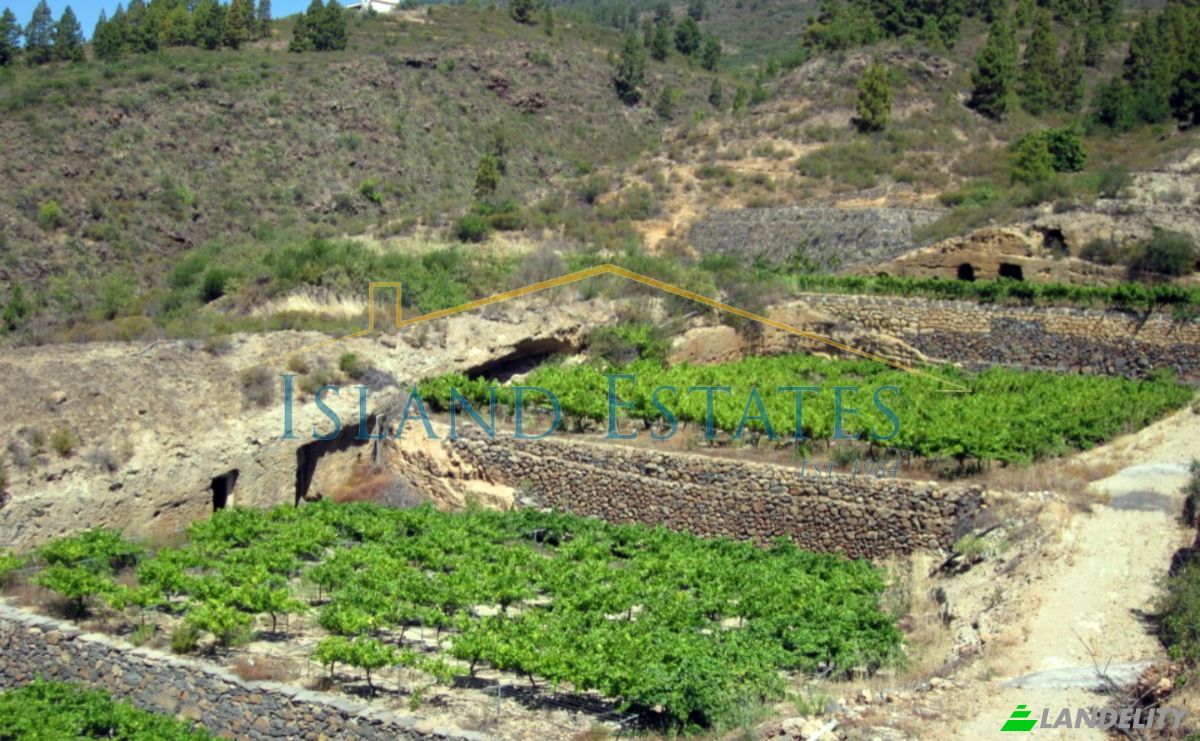 Односімейний будинок продаж Calle Principal el Draguito, Granadilla de Abona, Santa Cruz de Tenerife, Canary Islands, Spain. Фото 12