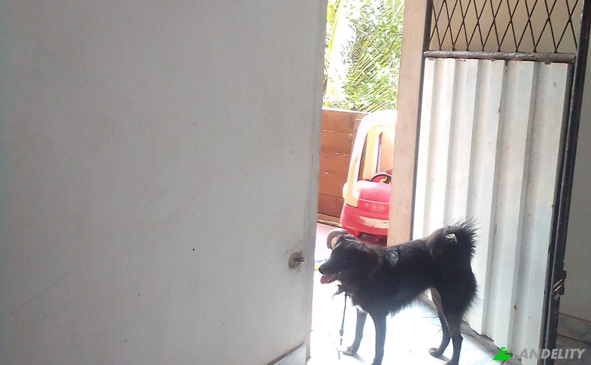 Single Family Home for Sale Hikkaduwa, Galle, Southern Province, Sri Lanka. Photo 8