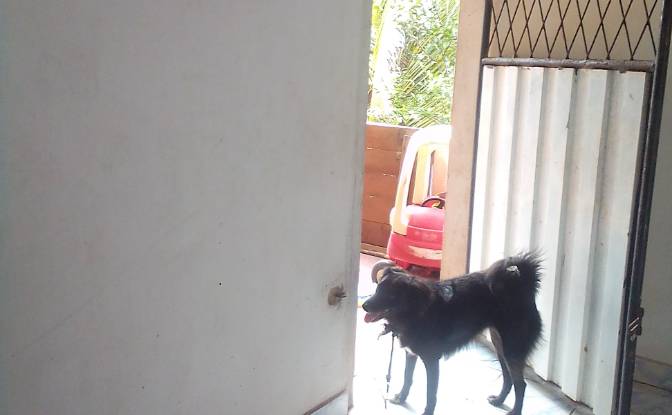 Single Family Home for Sale Hikkaduwa, Galle. Photo#8 Single Family Home for Sale Hikkaduwa, Galle. Photo#8