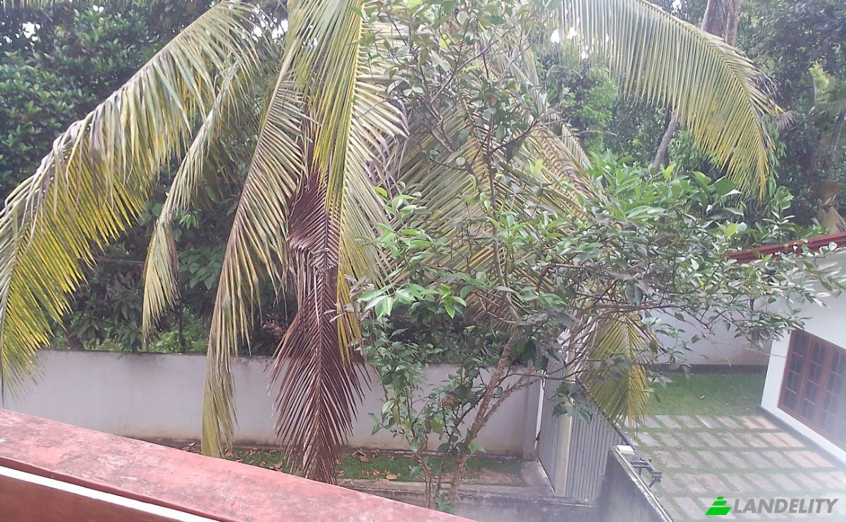 Single Family Home for Sale Hikkaduwa, Galle, Southern Province, Sri Lanka. Photo 9