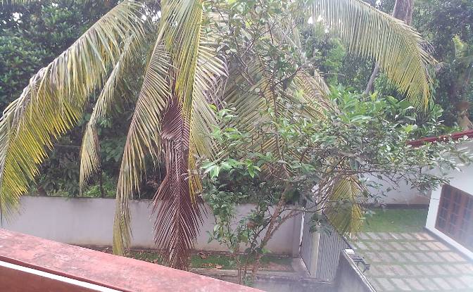 Single Family Home for Sale Hikkaduwa, Galle. Photo#9 Single Family Home for Sale Hikkaduwa, Galle. Photo#9