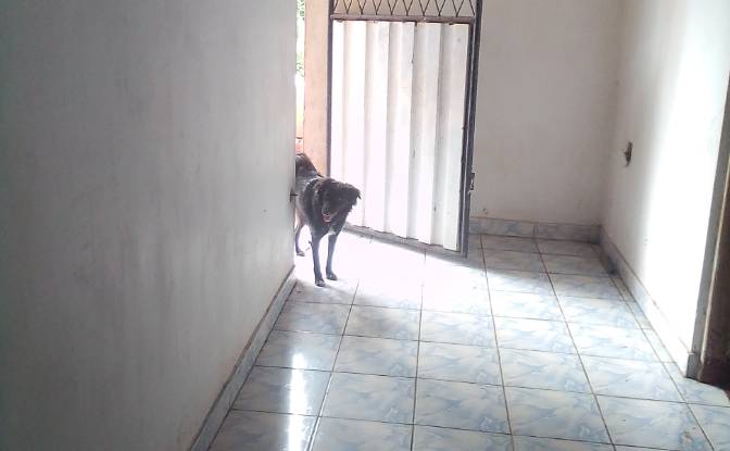 Single Family Home for Sale Hikkaduwa, Galle. Photo#10 Single Family Home for Sale Hikkaduwa, Galle. Photo#10